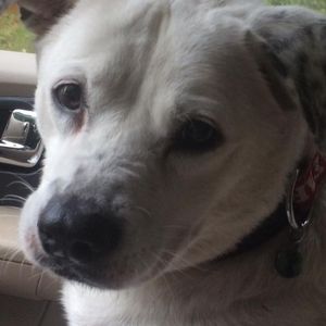 Meet your Posher, Tanya